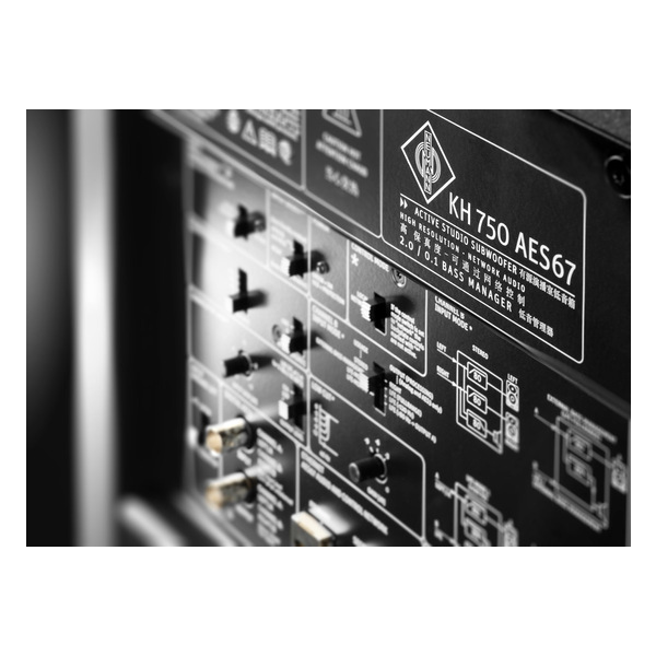 KH_750_AES67x1_desktop_KH-750-AES67-Macro1_Neumann-Studio-Subwoofer_G